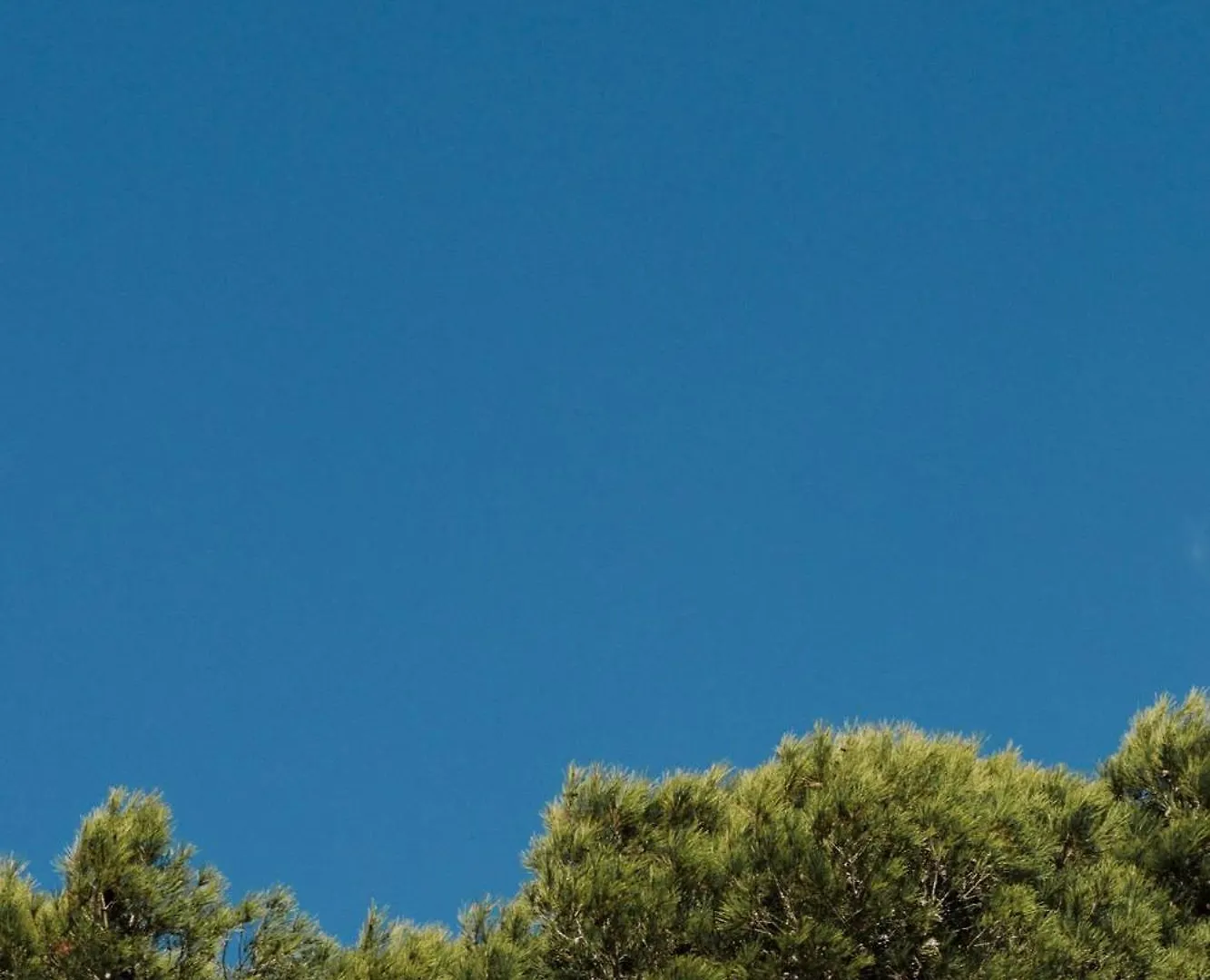 Prinsotel La Pineda Cala Ratjada  Espanha